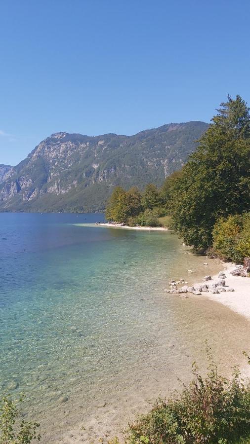 Apartma - Pocitniska Hisa Lodi Bohinj Exterior foto