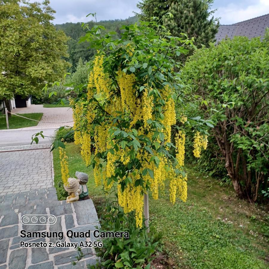 Villa Apartma - Pocitniska Hisa Lodi Bohinj Exterior foto